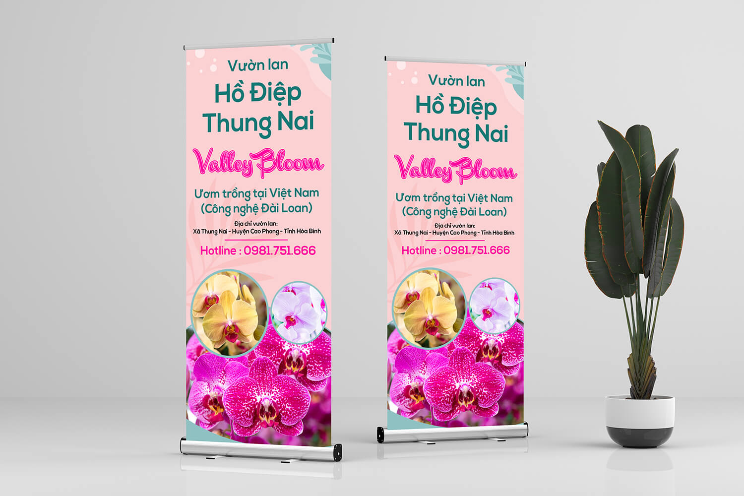 CÔNG TY TNHH BEALIFE