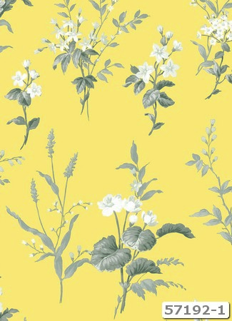 CÔNG TY TNHH BEALIFE