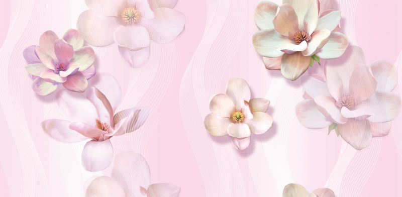 CÔNG TY TNHH BEALIFE